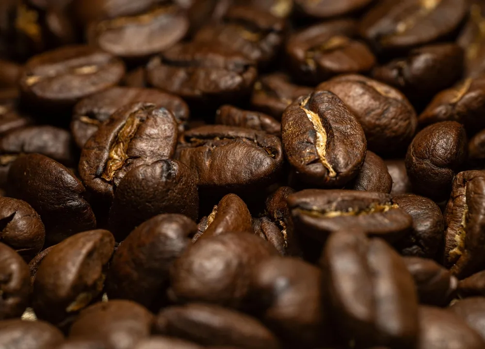 Café de Coatepec e ingredientes regionales de la cocina de El Salto de Xala